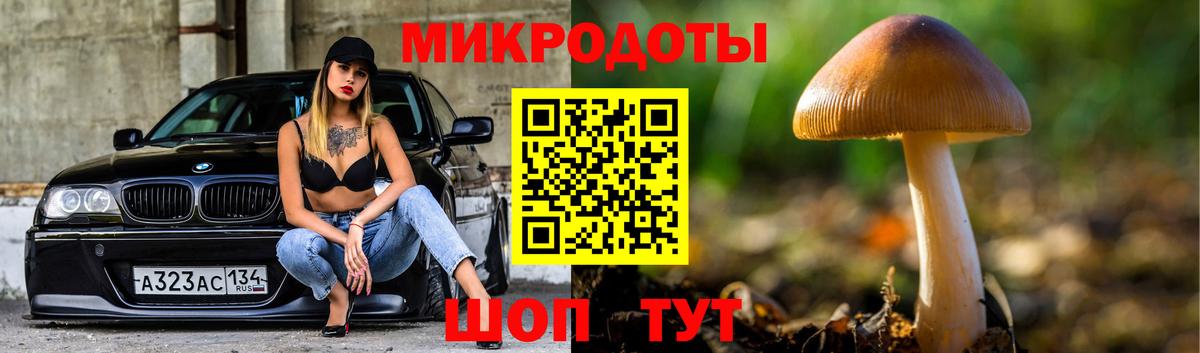 Псилоцибиновые грибы Magic Shrooms Фрязино